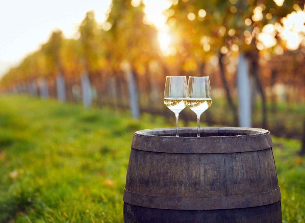 fall wine tours